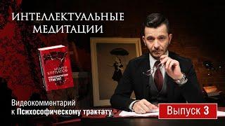 Интеллектуальные медитации. Видеокомментарий к Психософическому трактату: выпуск 3