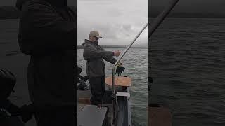 The STRANGEST Dungeness Crabbing Technique???