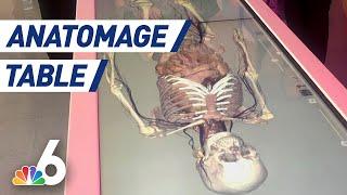 Anatomage 3D Virtual Table Transforms How Students Learn About Human Body  | NBC 6