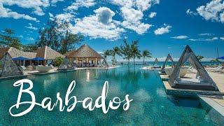 Top 5 Best Resorts In Barbados | Best Hotels In Barbados