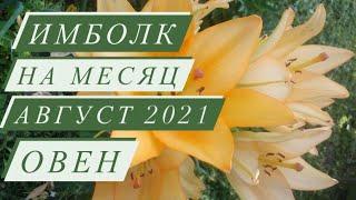 ИМБОЛК. ️ОВЕН️. СВЕЧА УДАЧИ. АВГУСТ 2021.