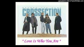 CROSSECTION ~ Love Is Who You Are [AOR]