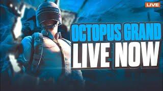 [HINDI] | OCTOPUS ESPORTS BGIS GRIND SCRIMS (9 to 11pm scrims)