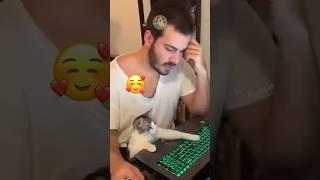 Heartwarming Moments with Cats and Their Humans ️ #MyPetsie