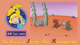 64 Zoo Lane - Joey the Kangaroo S01E03 HD | Cartoon for kids