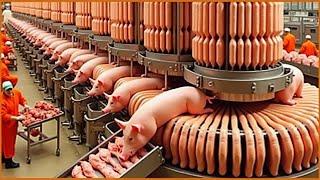 The process of raising and breeding thousands of pigs, How to process pork in a giant factory!