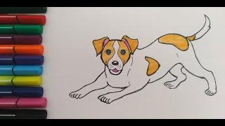 КАК НАРИСОВАТЬ СОБАКУ/ITNI RASMINI CHIZISH/ИТТИ СУРОТУН ТАРТУУ/Иттын суретін салу/HOW TO DRAW A DOG