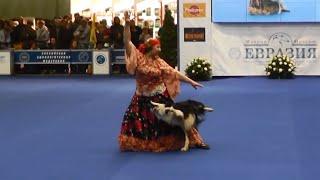 Танцы с собаками "Евразия 2014". Dog Dancing. Canine Freestyle.