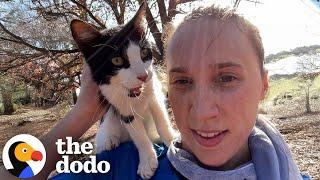 Random Meowing Cat Jumps On Jogging Woman | The Dodo