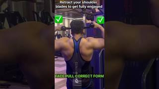 Face Pulls Don’t Work - Improve Your Technique |correct form