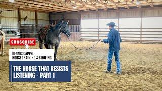 D/C  TRAINING THE DOMINANT HORSE THAT RESISTS LISTENING  Part 1  |  Groundwork Foundation