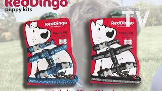 Red Dingo Puppy Packs (Trade Video)