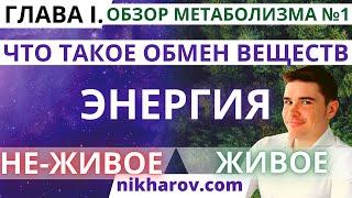 Что такое метаболизм: Катаболизм, Анаболизм, Живое, НЕживое, Энергия, Материя, Энтальпия, Энтропия.