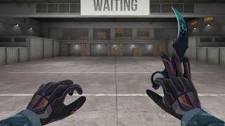 Karambit "Cold Flame" and Gloves "Geometric"