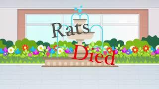 Rats died, part 1 - For GrapeBird. LAZY-