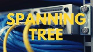 CCNA Quiz: Spanning Tree Explained: Which ports are blocked and why? CCNA | CCNP