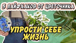 Упрости уход за комнатными растениями с лайфхаками от Антона-Цветочника!Просто, дешево и эффективно