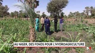 Au Niger, des fonds pour l'hydro-agriculture