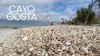 I love living in Florida! Seashells, islands and sea critters all in one afternoon!