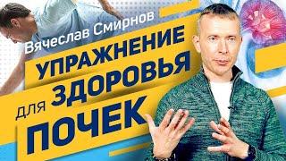 Упражнение для здоровья почек | Вячеслав Смирнов