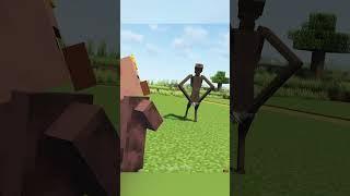 Minecraft Meme
