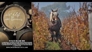  La Clef des Terroirs  Documentary film