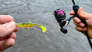 River Fishing for anything that Bites! (Lure Fishing)