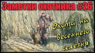 Охота. Заметки охотника #26. Охота на весеннего селезня с манком и чучелами.