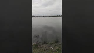 Рыбалка в Чечне, первая в этом году #чечня #грозный #рыбалка