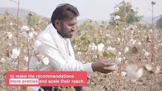 AI-Powered Pest Management for Cotton Farmers