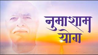 "LIVE" मधुबन- नुमाशाम योग | ਮਧੂਬਨ- ਨੁਮਾਸ਼ਾਮ ਯੋਗ | NUMASHAM YOG | RAJYOGA MEDITATION PRACTICE