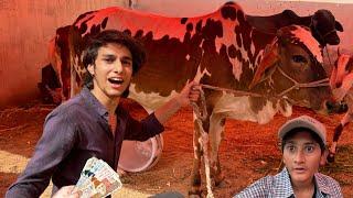 Qurbani ka Janwar Leliya Youtube income se Alhumdulilliah