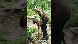 Sky Hiking Adventure of Hidden Water Falls With Nauman Khan You Tube Shorts
