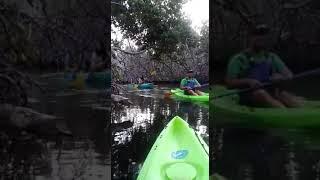 Experience Bio Bay @ Fajardo, Puerto Rico  kayaking adventure with Yokahu Kayak