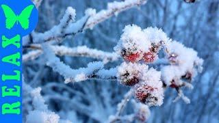 ПЕРВЫЙ СНЕГ. ПРОЩАНИЕ С ОСЕНЬЮ. FIRST SNOW. FAREWELL TO AUTUMN.