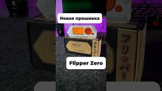 Flipper Zero теперь поддерживает JavaScript!