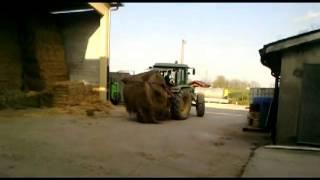 LAVORI IN AZIENDA-MATTEAZZI FARM