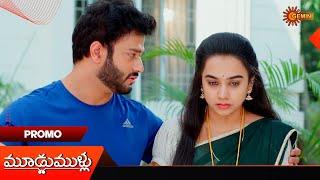 Moodu Mullu- Promo |30 Nov 2024  | Telugu Serial | Gemini TV