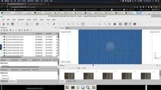 [Metashape] 9.Camera Optimize and Build Dense Cloud