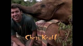 Kratts' Creatures - Theme Song