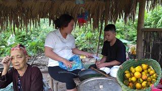 The orphan boy went to pick persimmons, received help from the girl, the old lady remembered Thanh