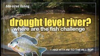 Where To Find Panfish In Drought Challenge (From River to Hilltop)