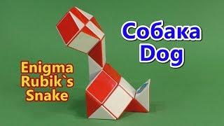 СОБАКА Змейка Рубика | DOG Rubik`s Snake