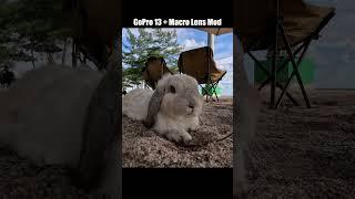 GoPro Hero 13 Black Macro Lens Mod
