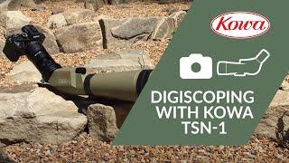 Digiscoping with Kowa TSN-1 and Kowa System S TSN-PA8