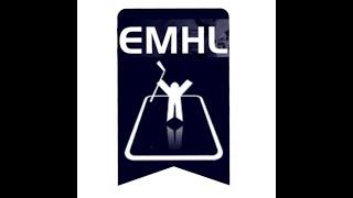 Between the legs goal (EMHL-20230923-Brumov Bylnice)