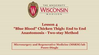 Lesson 4: "Blue Blood" Chicken Thigh: End to End Anastomosis - Two-stay Method