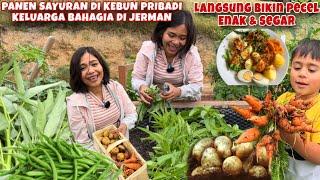 PANEN SAYURAN DI KEBUN KELUARGA BAHAGIA DI JERMAN, LANGSUNG BIKIN PECEL ENAK DAN SEGAR