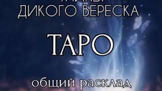 #таро #гадания #финансы КАК РАСШИРИТЬ ФИНАНСОВЫЙ КАНАЛ  Общий Таро-расклад