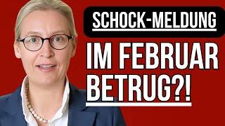 Im Februar werden sie uns zerstören Alice Weidel Eilmeldung